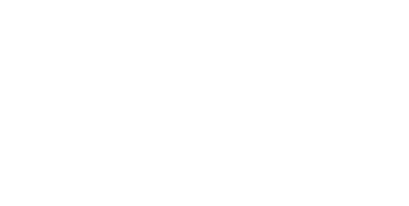 Texas Longhorns