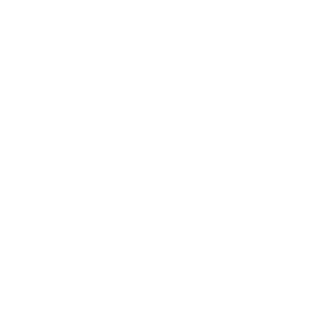 Toronto Raptors